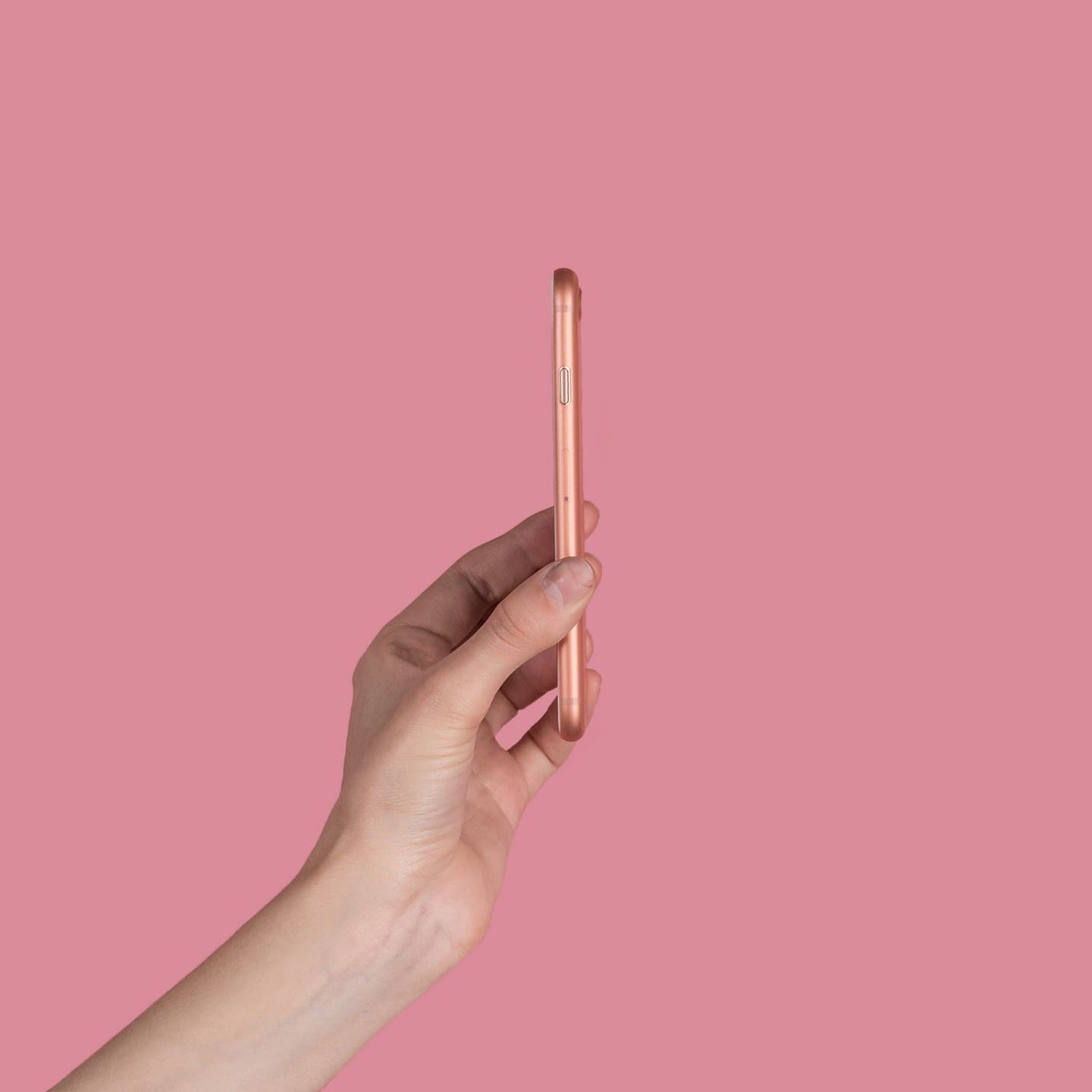 #color_rose