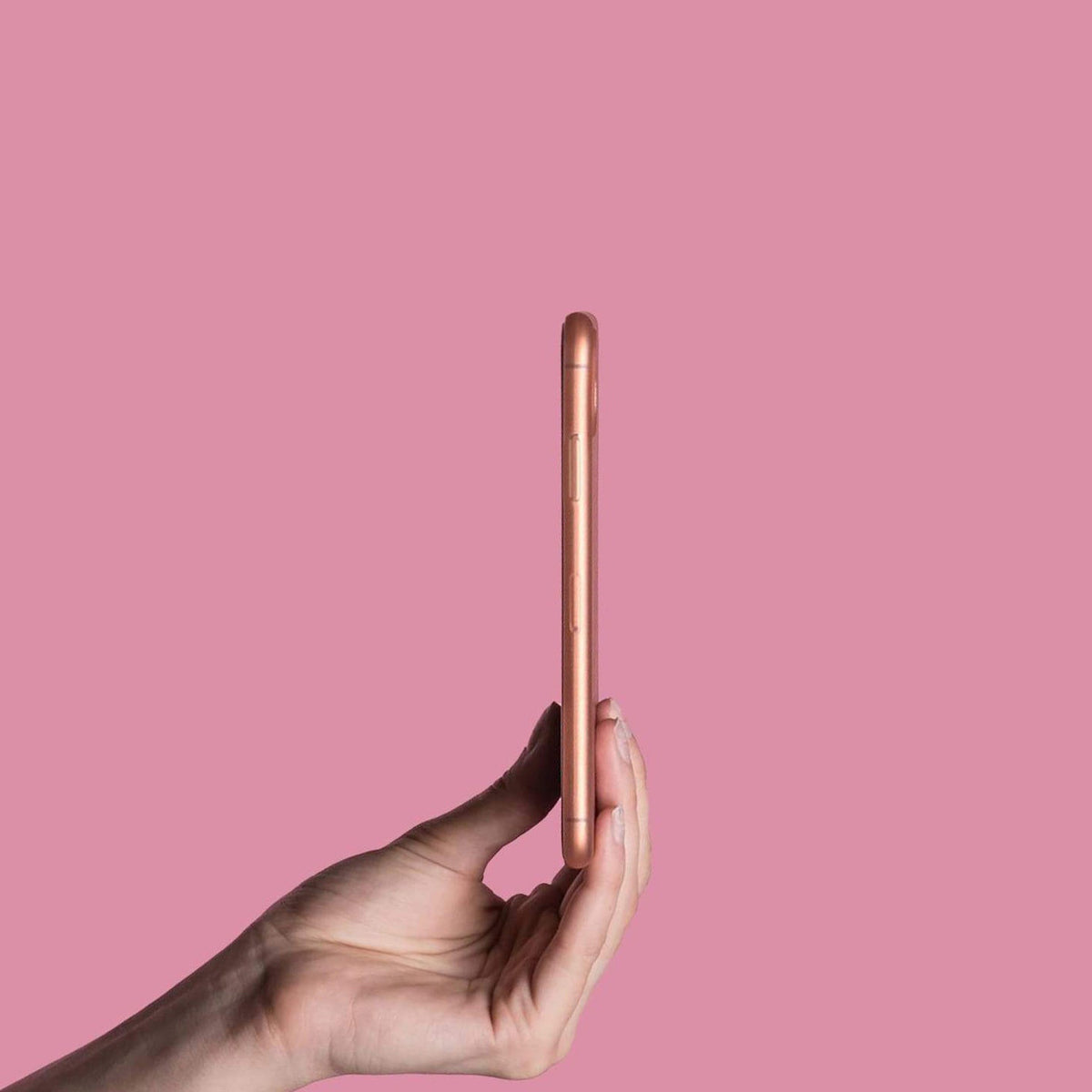 #color_rose