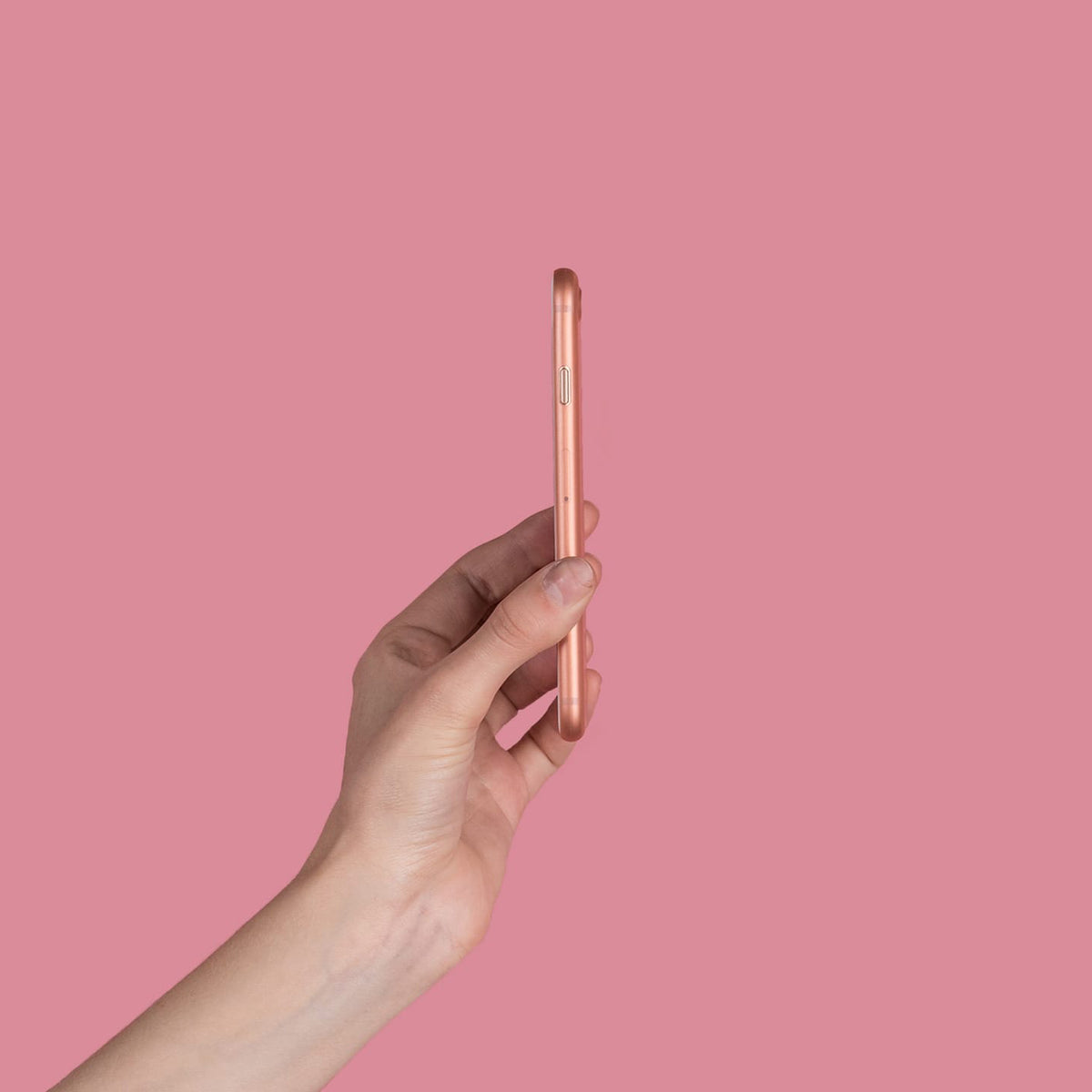 #color_rose